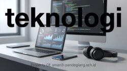Panduan Praktis Memilih Software Bisnis yang Tepat untuk UKM