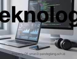 Panduan Praktis Memilih Software Bisnis yang Tepat untuk UKM