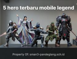 Tips & Trik Tersembunyi 5 Hero Terbaru Mobile Legends 2024
