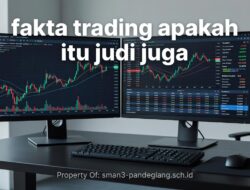 Fakta Mengejutkan: Trading Itu Judi atau Bukan? Ini Datanya